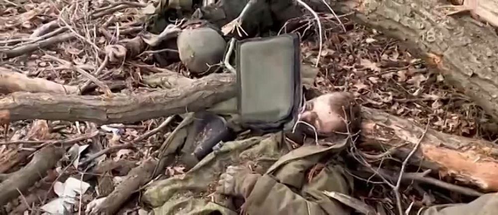 �������� ���� ��� "������" ���� � ����������� ������, ������� ������� �� ������ ������