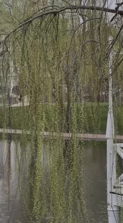 ������ � ������� ������ � ������ �����