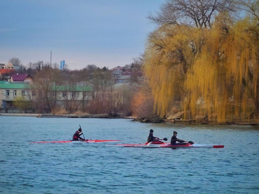 ���������� �������. ���������