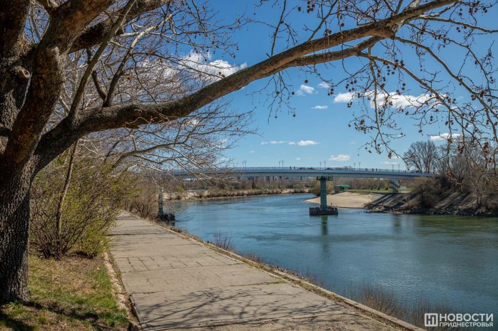 ������� ���� ��������� �������������