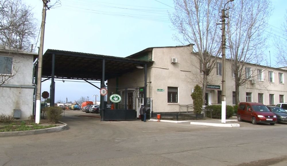   .    ,        .          .       