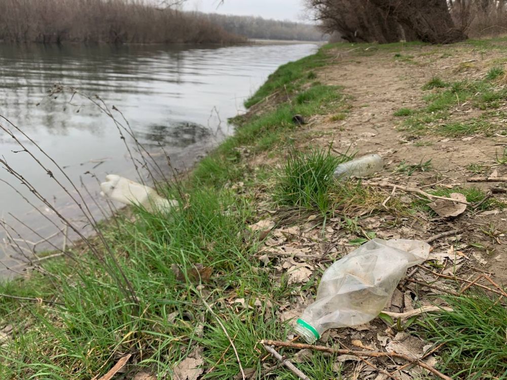 �������� ����� ������� �� ������