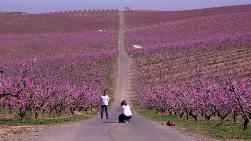 � ��������� ������� ����� �������� ���������� ��������