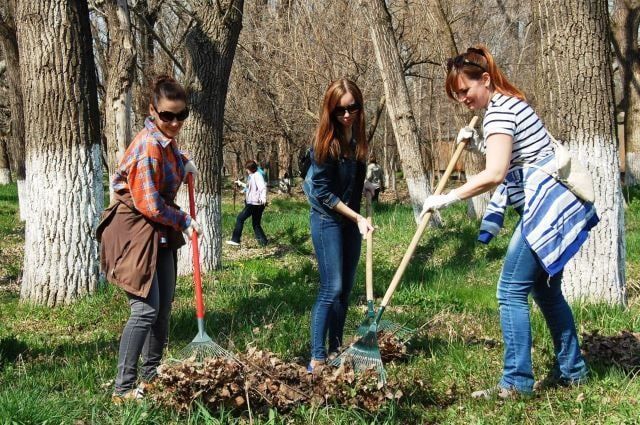 �������� ������. ������� � �������� ��������� �������� �� ���������������. ��������� ������� ��������� �������� ������, �������� � ��������� �������, �������� ����� � ����������, �������� �������