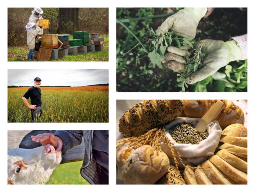 � ����������, ��������� � �������� ����������