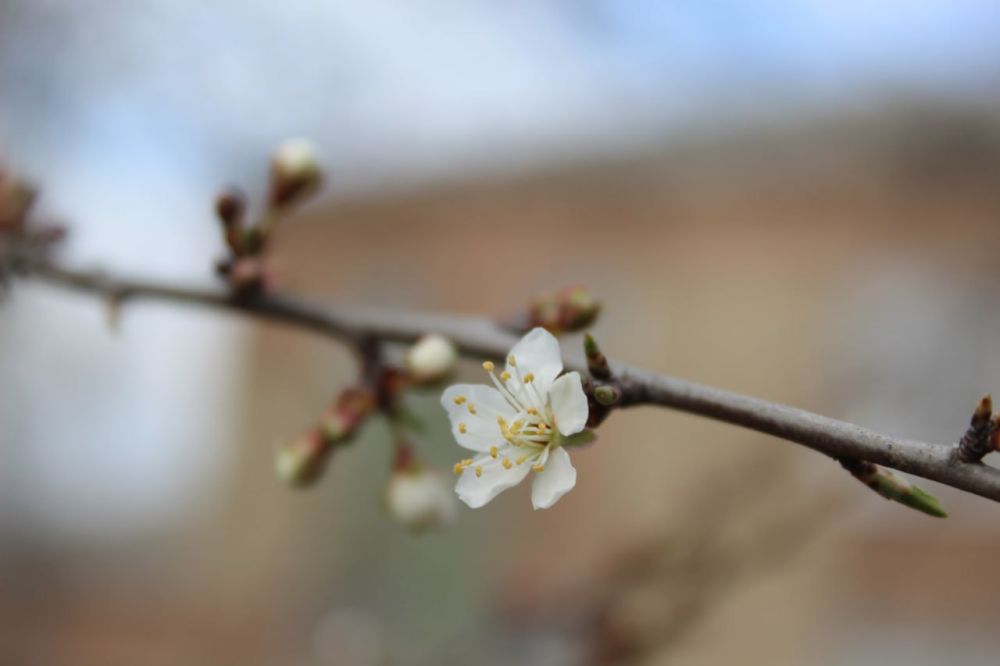 20 ����� ��������� ���������� ����������, ��� �������