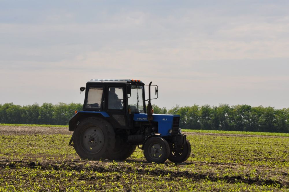 ������ ��� � ���������� �������� �� ������� 2,9 ���. ��