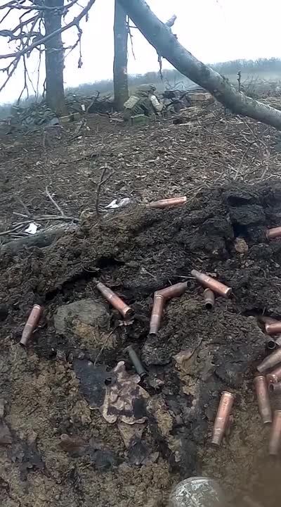 ���������� ���������� ����� ������� ������� ���������� �������������