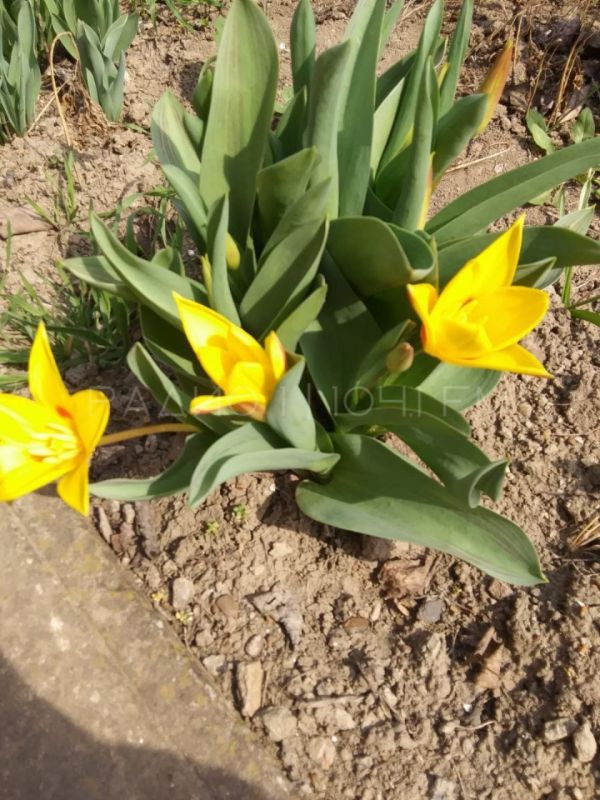 � ������������ - ����� � �������!