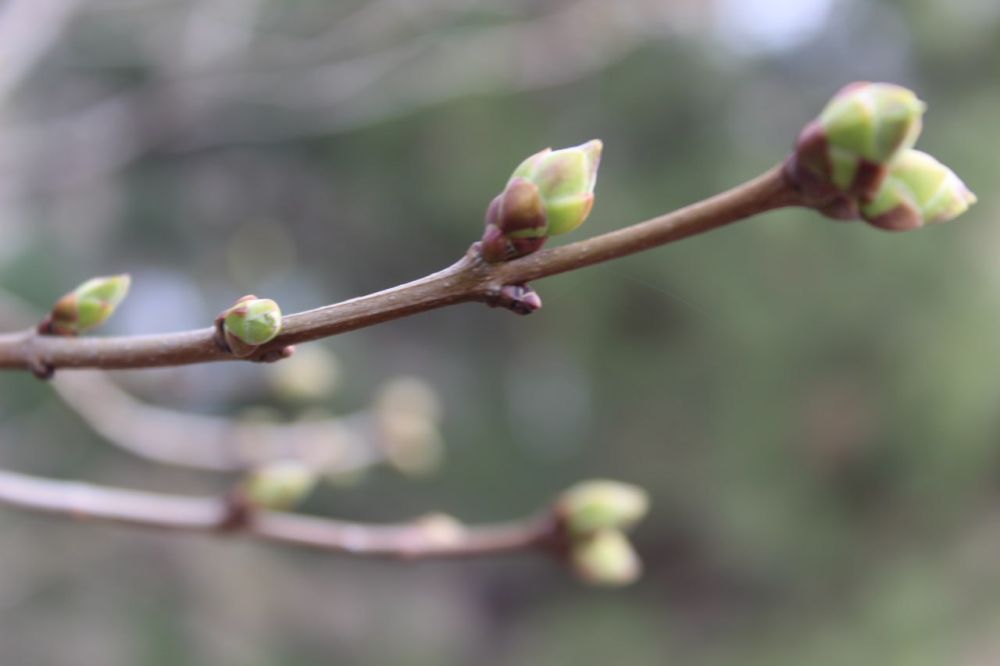 21 ����� ��������� �������� � ������������ ������, ������� ������ �����