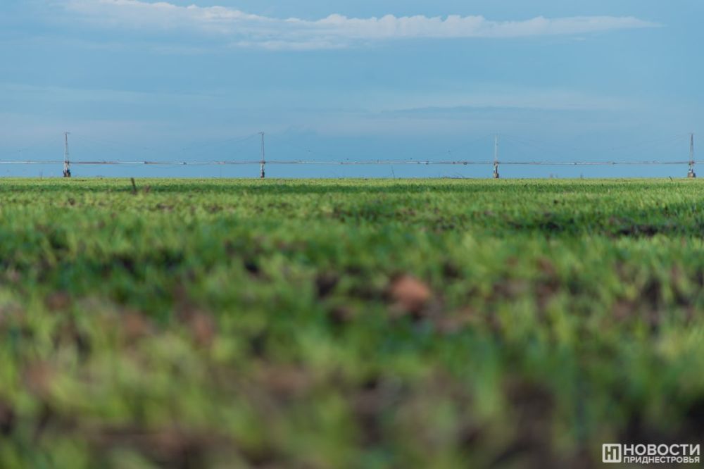 ��������������� ������� ���������� � �������-������� �������