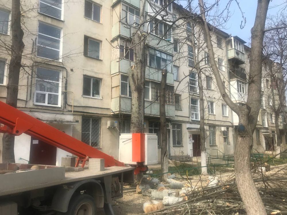 ���� ��������� ���������������