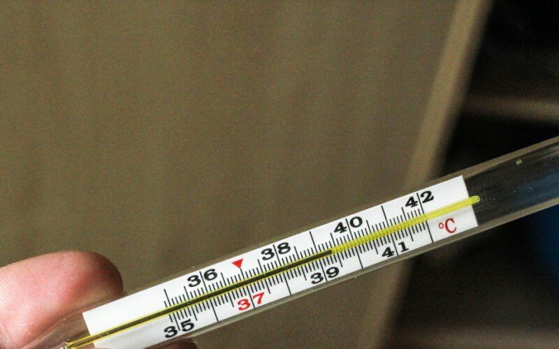 ���������� �� �������������� �� 20 �����