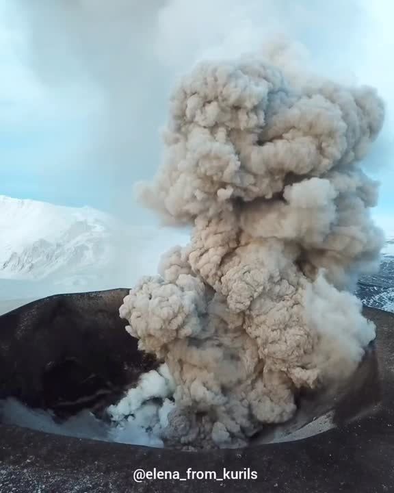 ���������� �������� ���������� ������� ����� �� �������