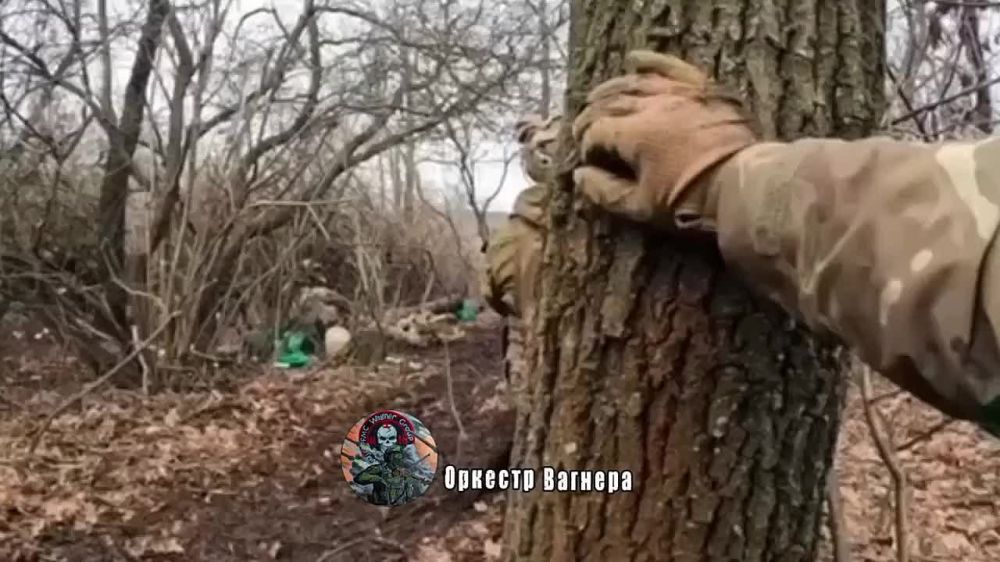 ����� �������� �������� ��� � ������������ �� ���������� �����������