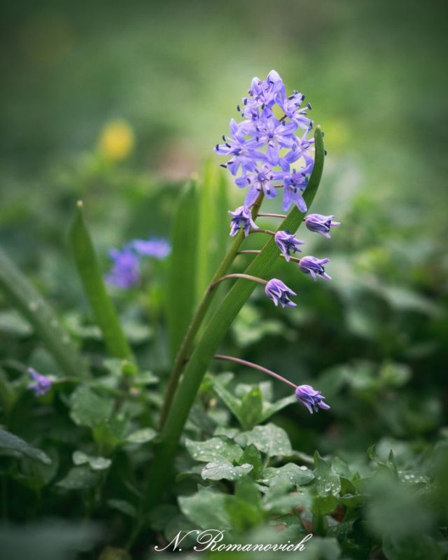 ���� ������� �������� ��������� ������, �� ��� �������� ����������