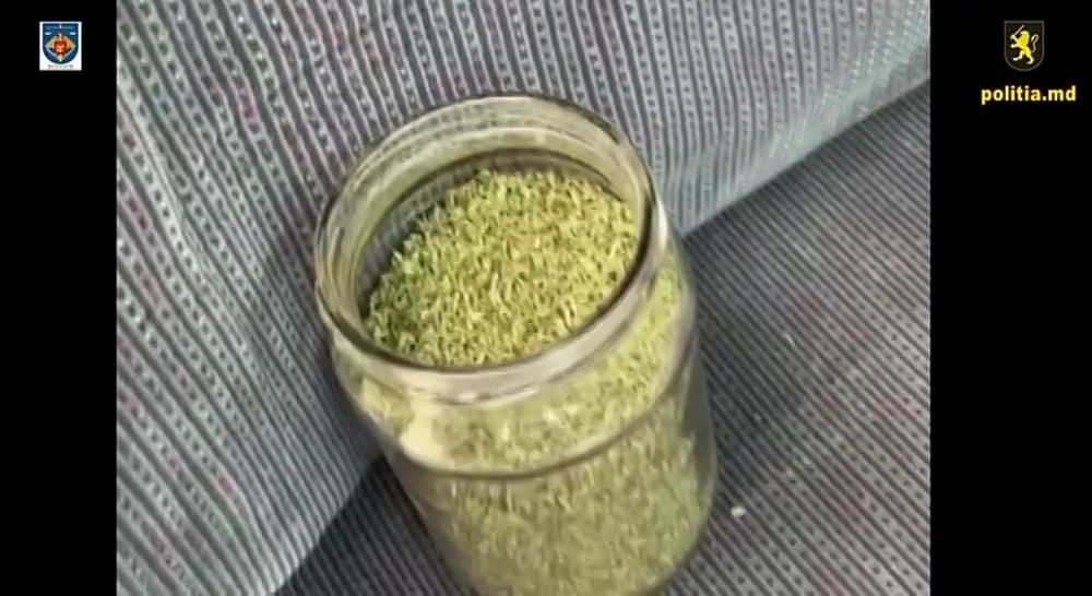 ��������� � ������ ��� ������� �� ����� 600 000 ���� ����� � ��������, ������� ��� �� ���� � ��������� �������������� ���������