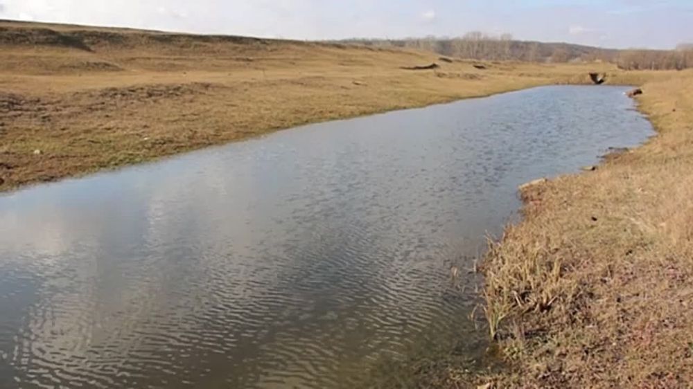 �� ����� ����� ������� ������������, ��� ������ �������� � ���� �����