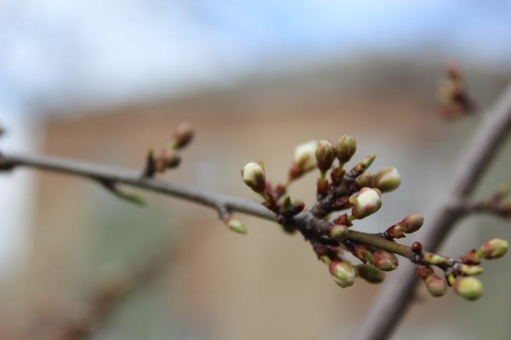 22 ����� ��������� ���������� ����������, ��� ������������ �������