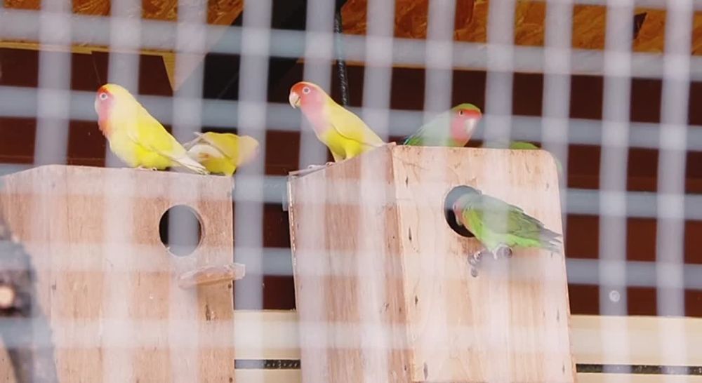 �������� � �������������� ����� ������� 1 ������