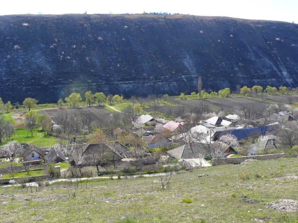 ���� �������� ��� ������� ��� �����