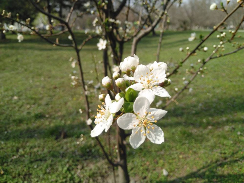 � �������-�� ������.... ������� ����������� ����� ������ ����, � ����� ���������� ���������. ���� ������� �������