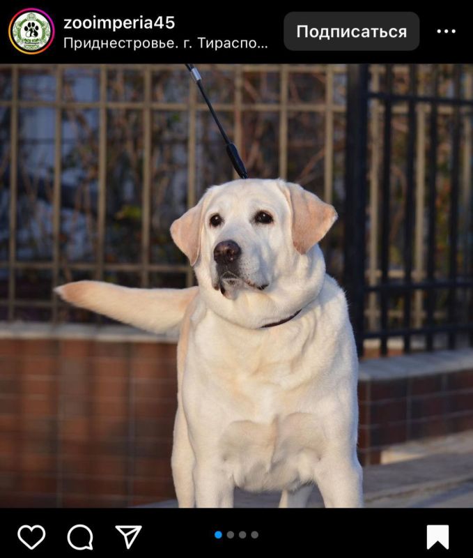 ����� � ��������������� ����������: �������� ������, ������ � ����� �� �������