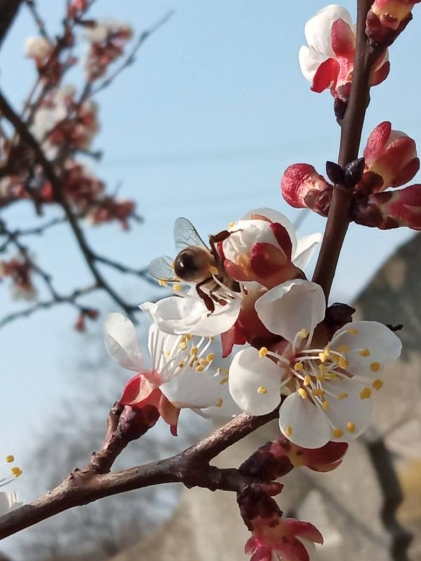 ������������ ����� ��� +20 ������� ������ ������������� ������ ��� -20. ���� ������� � ���� ����