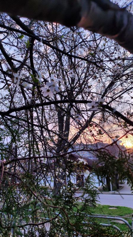 ����� � ������. ���� ����������