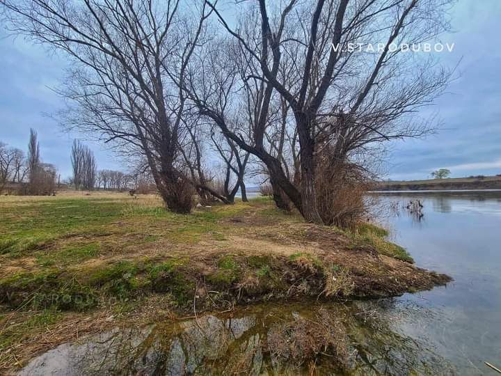 ���������. �����. ������