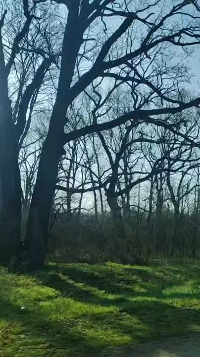 ��� ������������� � ���� � ���� ��������, ��� � ������������� ������