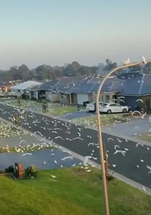 ����� �� ���� � ��������, �������� �������� � ����: ��������� �������� � ��������� ������, ���������