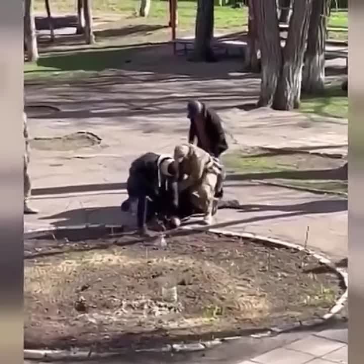 � ������ ���������� ����������� ���������� ���������� ������ �� �����������