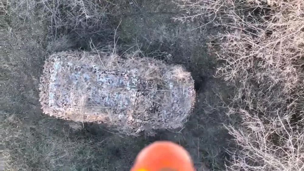 ���������� ������������� ������ �� ������������ ���