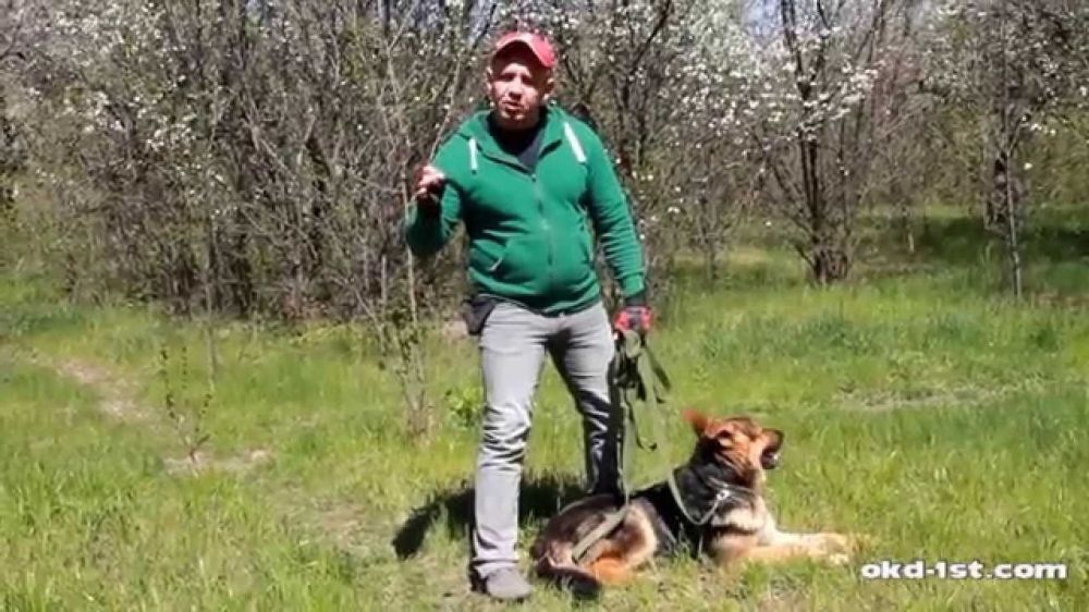 ��������� ����� � ����� �� ������� ������� ������������ �� ����� �������� ��������, ��� ��� ��� �� ��������� ������� �� ���������� ����, � ����������� ������ �� ������� �� ������� �����