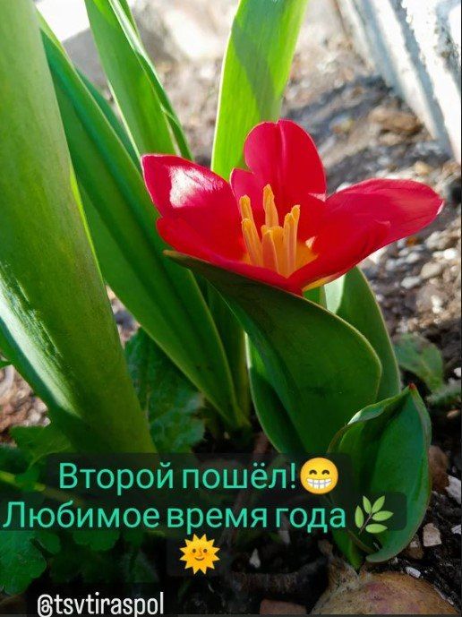 ��������������� ���������� ��� ������� �������������� ��������