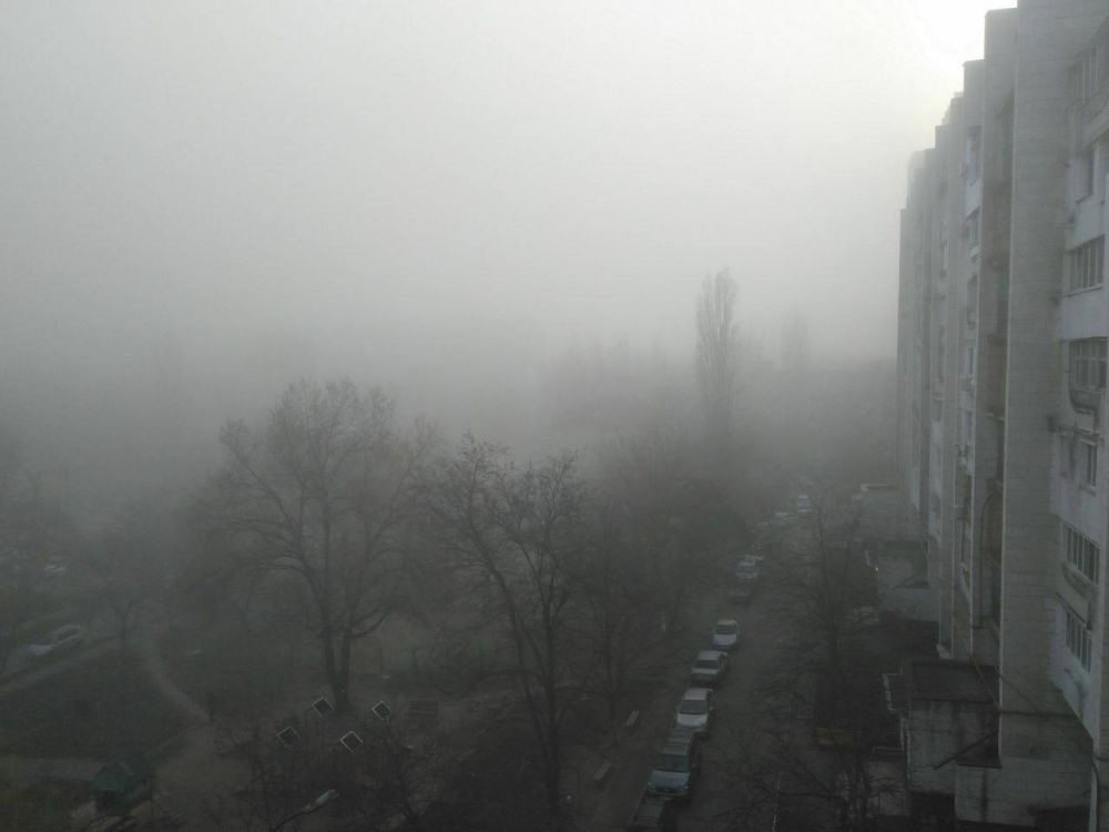 �� ������� �����. ��� �������� ���� ������������. ���������, ����� � ����������� ������ � ��������� ���������� ���������