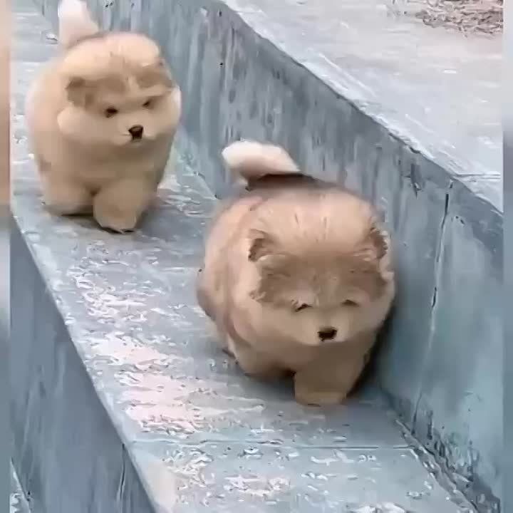 ������� - ��������� ���� ������