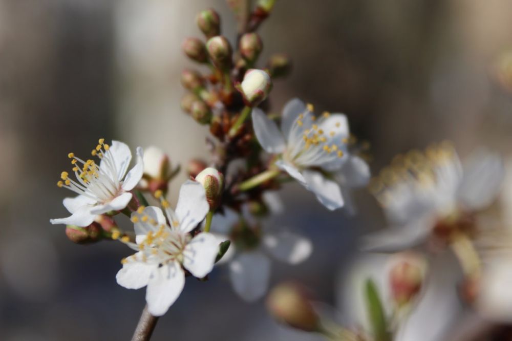 �������, 23 �����, ��������� ���������� ����������, ��� �������