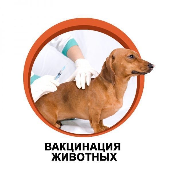 ��������� ��������� �������� ��������!