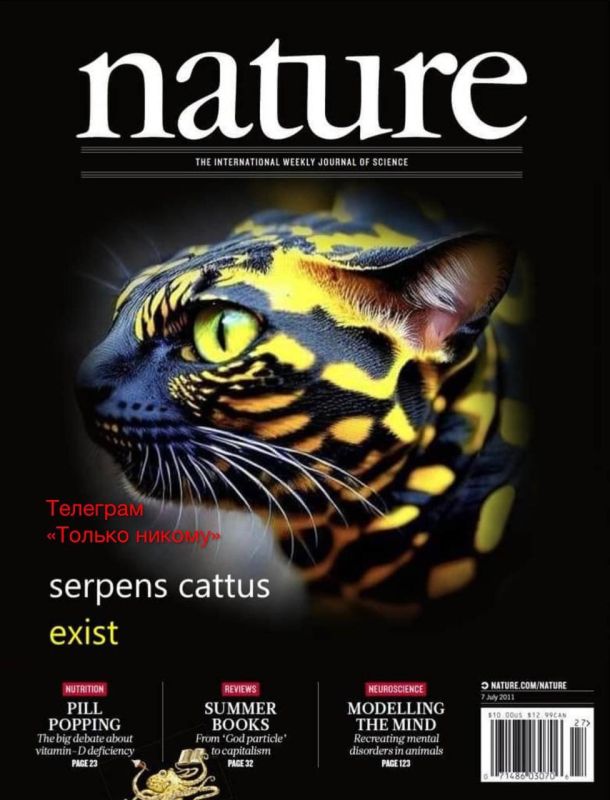 ����� ������� �������.. ������� ������� �������� �������� �����, ���� ������� �������� ��� ������� � ���� ������ � ������� ������� ������� � ��������