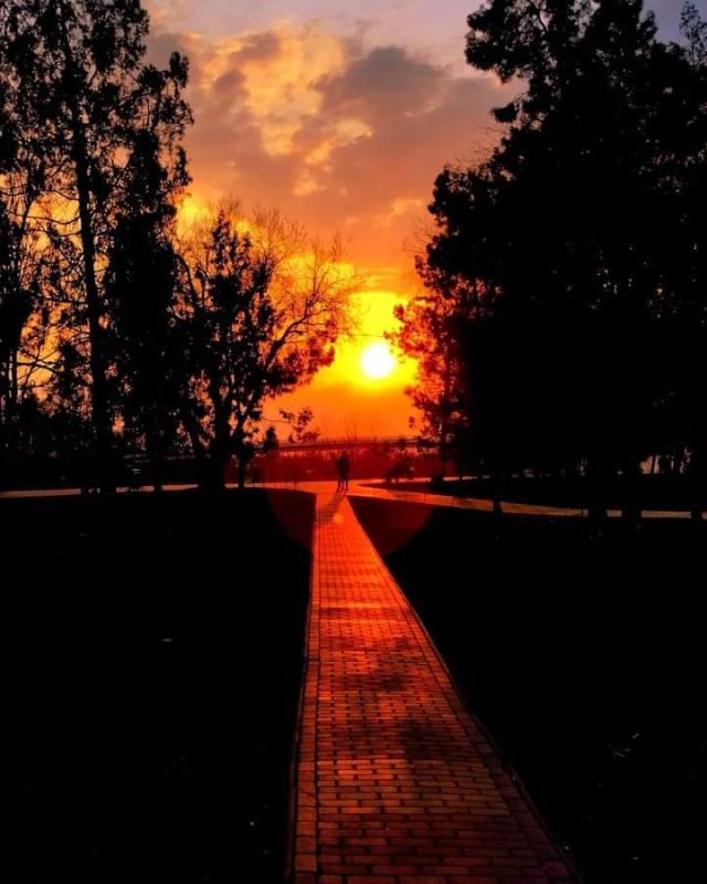 ���������. �����. �������������� ���� � ��������������� ����