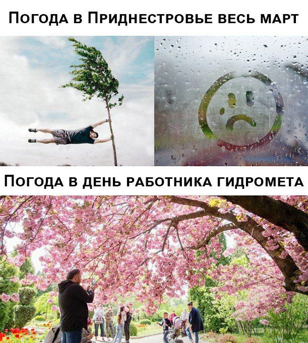 ����, ��� ������� ����� ������ ������, ���� ������ �������� ����������