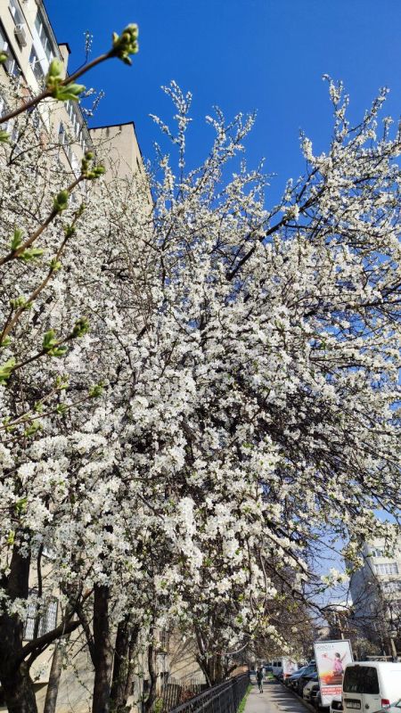 ����� � ���������. �� 1 ��� ������� ��� ����� ��������, �������, ������ ���� ����� ����� ��������� ����� �������� ����������