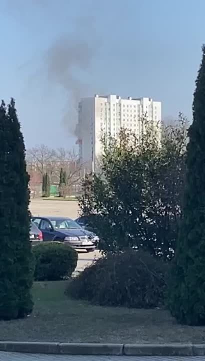 �� ������� ����� �������� �� 8 ����� � 16-������