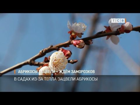 � ������������� ���� �������: ����� ������� � ��� ����������. ������� ���� ��������� ������ ����������� � ������� �� ������ �������� ���������. �� ���������� � ���������� � ������, ���������� �� ��� �� ������