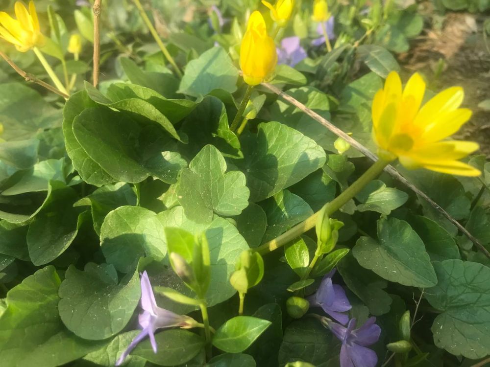 23 ����� ��� ����������� ������������, � �������� ��������� � �������� � ������ ���� �������������