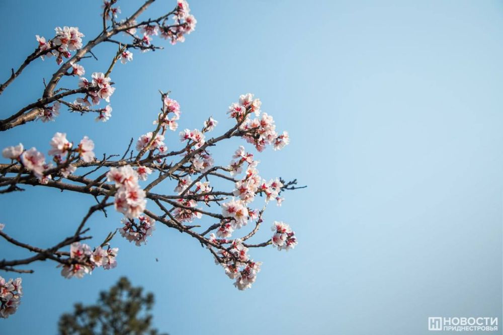 � ��������� ��� �����