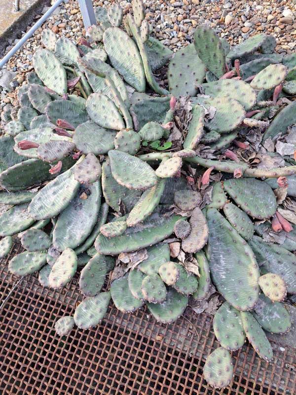 � ��������� ������� �����