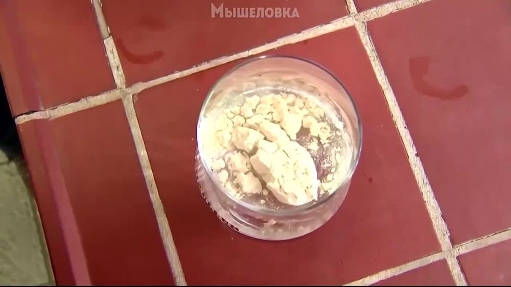 ����� ����������� ������ � ���� ����������� ����